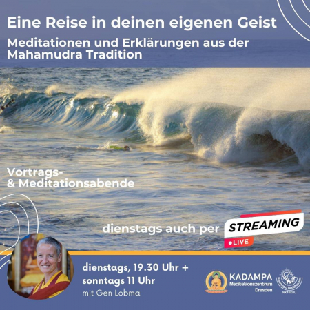 EINE REISE IN DEINEN EIGENEN GEIST - Meditationen und Erklärungen aus der Mahamudra Tradition