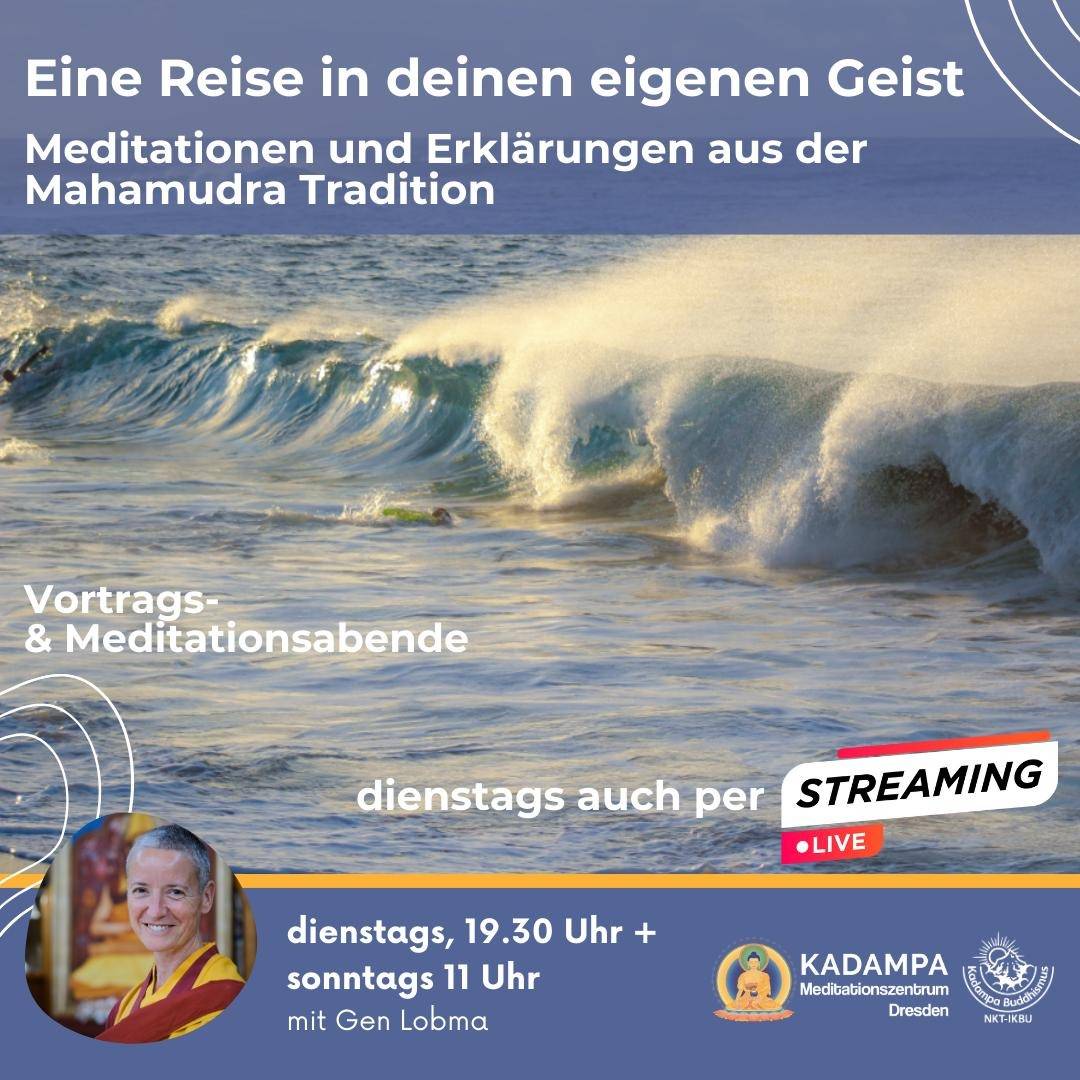 EINE REISE IN DEINEN EIGENEN GEIST - Meditationen und Erklärungen aus der Mahamudra Tradition