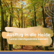 Ausflug-Heide