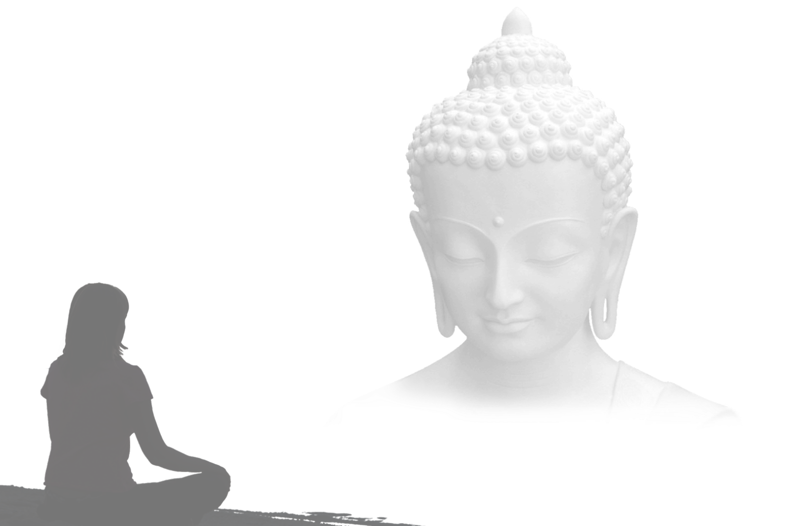 AP Februar Buddha visualisieren 2060x3099_ds Buddha visualisieren